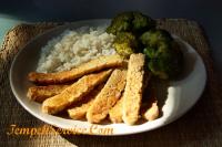 Tempeh złoty w delikatnym sosie