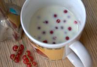 "Kefir" wegański porzeczkowy