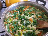 Quadrucci con i bisi