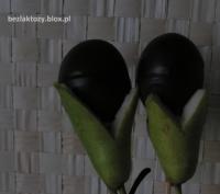 Śliwkowo - czekoladowy "tulipan"