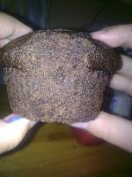 Muffiny cukiniowe