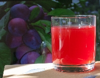 Kompot jabłkowo-śliwkowy